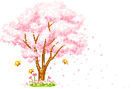 Sakura Tree Sakura Tree